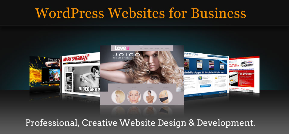 design-logic-wordpress-website-design-development